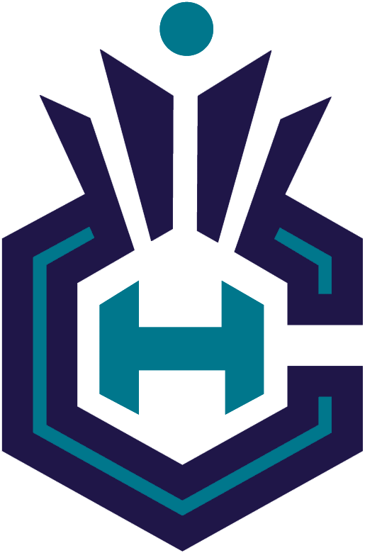 Charlotte Hornets 2014-Pres Alternate Logo iron on transfers for fabric version 5